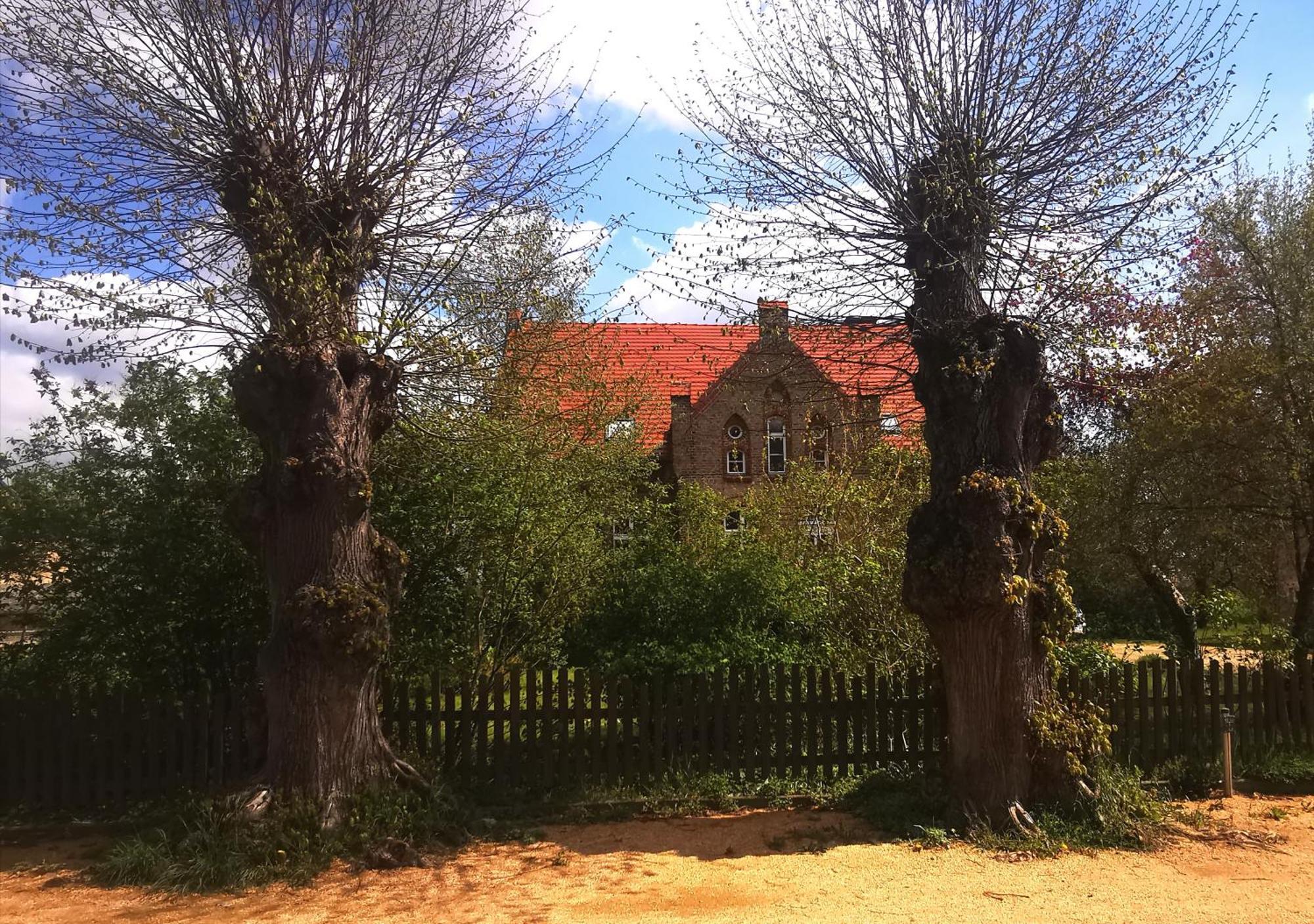 Landhaus Arcadia In Paretz كيتسين المظهر الخارجي الصورة